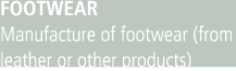 Footwear Manufacture of footwear (from leather or other products)
