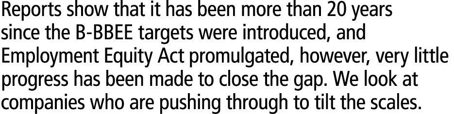 Reports show that it has been more than 20 years since the B BBEE targets were introduced, and Employment Equity Act ...