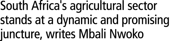 South Africa's agricultural sector stands at a dynamic and promising juncture, writes Mbali Nwoko 