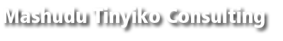 Mashudu Tinyiko Consulting 