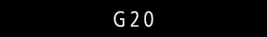 G20