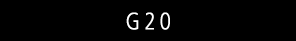 G20