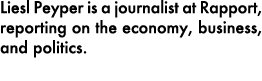 Liesl Peyper is a journalist at Rapport, reporting on the economy, business, and politics.