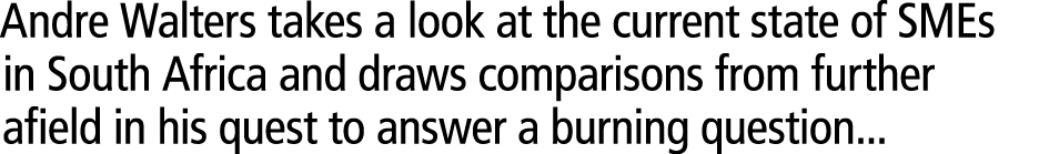 Andre Walters takes a look at the current state of SMEs in South Africa and draws comparisons from further afield in ...