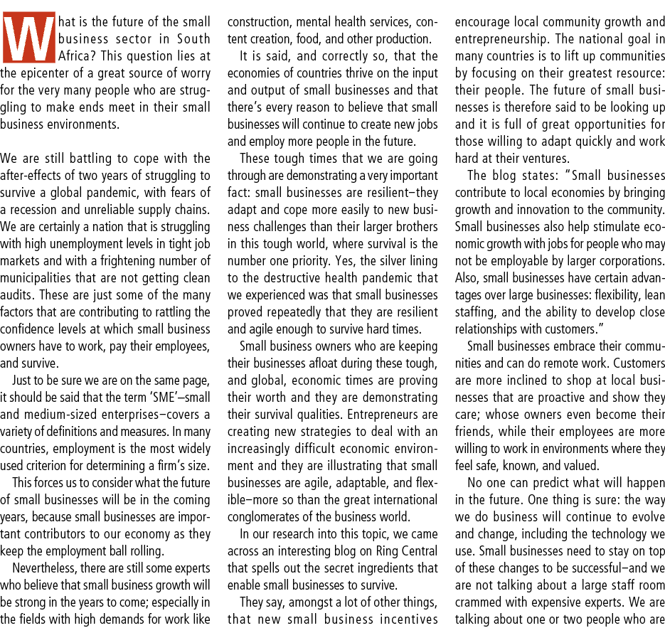 What is the future of the small business sector in South Africa? This question lies at the epicenter of a great sourc...