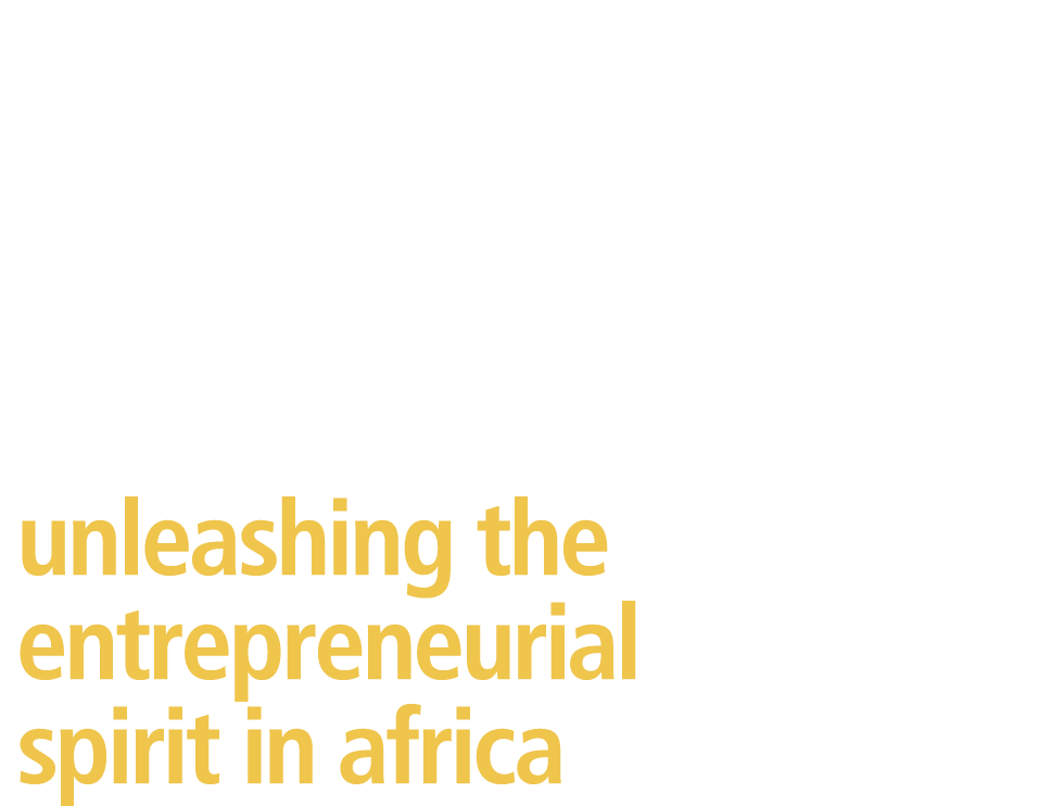 The Sum Of Us unleashing the entrepreneurial spirit in africa 